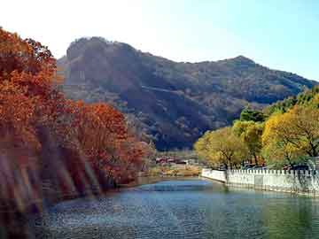 新澳天天开奖资料大全旅游团，魔法花学园1